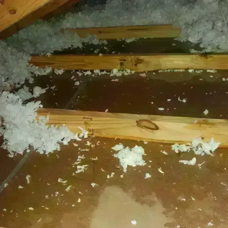 Attic Water Damage in Saint Rose, LA