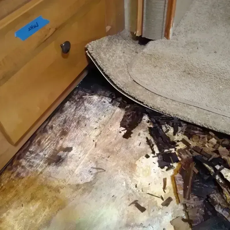 Wood Floor Water Damage in Saint Rose, LA